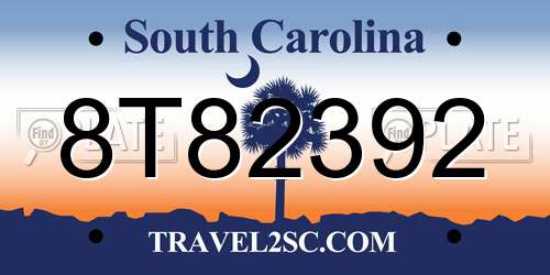 8T82392 South Carolina License Plate