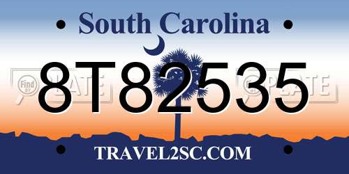 8T82535 South Carolina License Plate