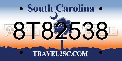 8T82538 South Carolina License Plate