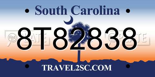 8T82838 South Carolina License Plate