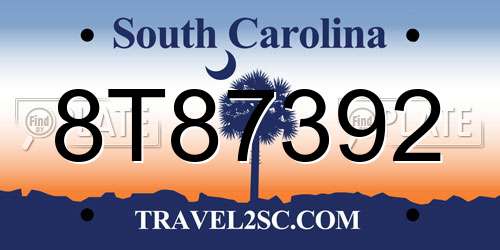 8T87392 South Carolina License Plate
