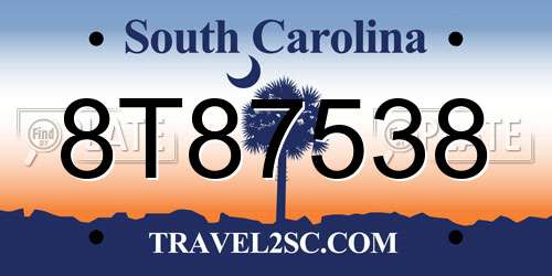 8T87538 South Carolina License Plate
