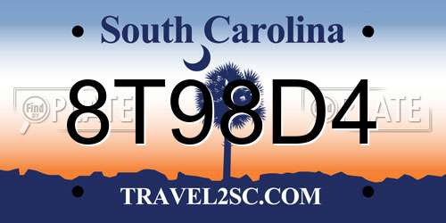 8T98D4 South Carolina License Plate