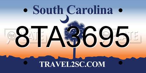 8TA3695 South Carolina License Plate