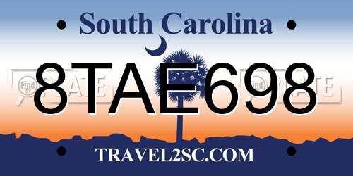 8TAE698 South Carolina License Plate