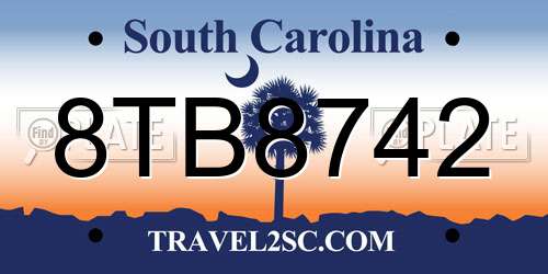 8TB8742 South Carolina License Plate