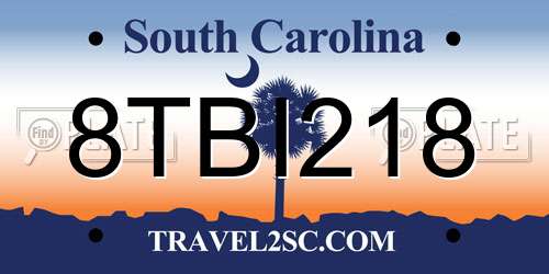 8TBI218 South Carolina License Plate