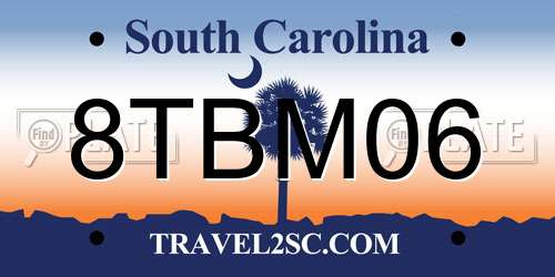 8TBM06 South Carolina License Plate