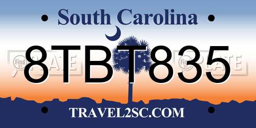 8TBT835 South Carolina License Plate