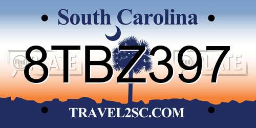8TBZ397 South Carolina License Plate