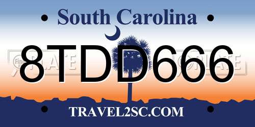 8TDD666 South Carolina License Plate
