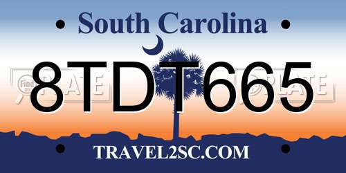 8TDT665 South Carolina License Plate