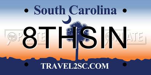 8THSIN South Carolina License Plate