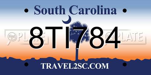 8TI784 South Carolina License Plate
