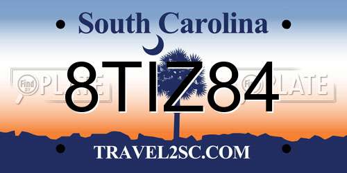 8TIZ84 South Carolina License Plate
