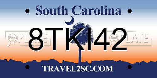 8TKI42 South Carolina License Plate