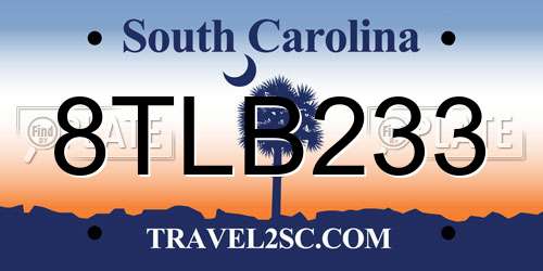 8TLB233 South Carolina License Plate