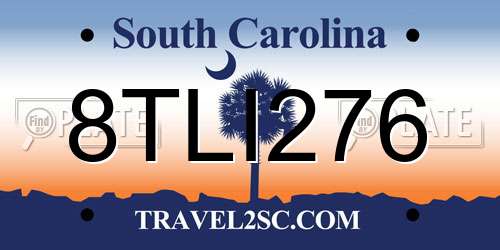 8TLI276 South Carolina License Plate