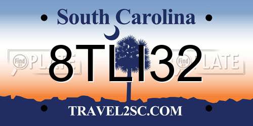 8TLI32 South Carolina License Plate