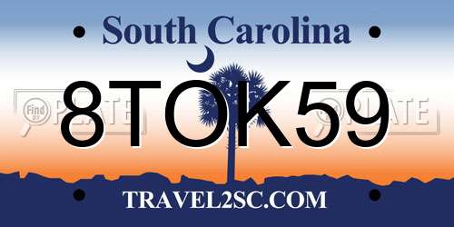 8TOK59 South Carolina License Plate