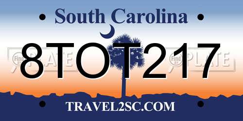 8TOT217 South Carolina License Plate