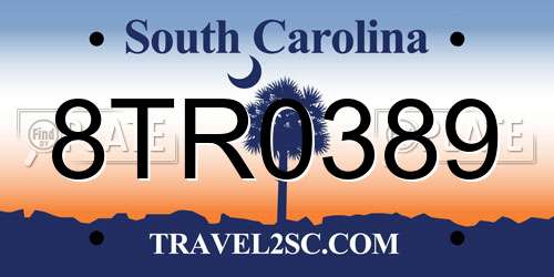 8TR0389 South Carolina License Plate