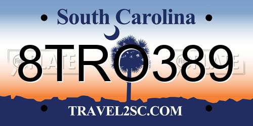 8TRO389 South Carolina License Plate