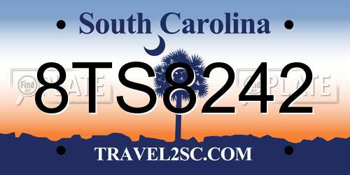8TS8242 South Carolina License Plate