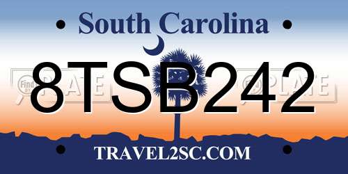 8TSB242 South Carolina License Plate