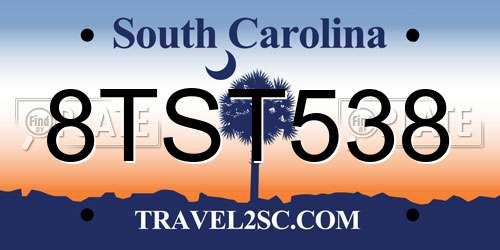 8TST538 South Carolina License Plate