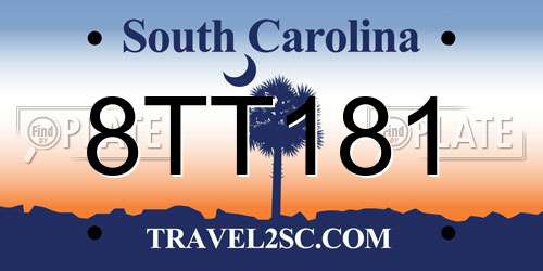 8TT181 South Carolina License Plate