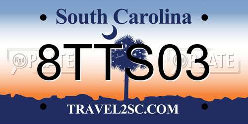 8TTS03 South Carolina License Plate