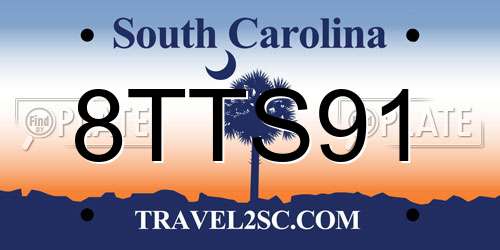 8TTS91 South Carolina License Plate