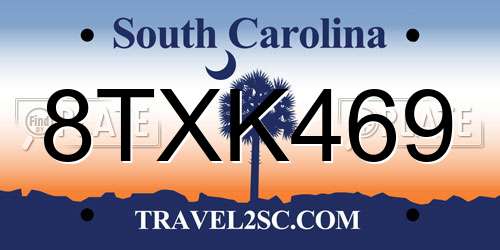 8TXK469 South Carolina License Plate