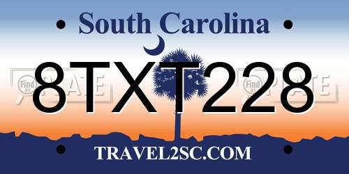 8TXT228 South Carolina License Plate