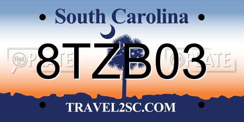 8TZB03 South Carolina License Plate