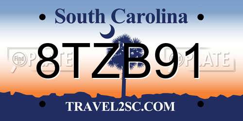 8TZB91 South Carolina License Plate