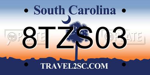 8TZS03 South Carolina License Plate