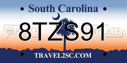 8TZS91 South Carolina License Plate