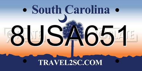 8USA651 South Carolina License Plate