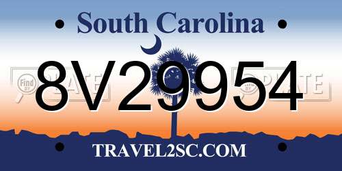 8V29954 South Carolina License Plate
