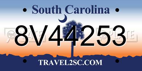 8V44253 South Carolina License Plate