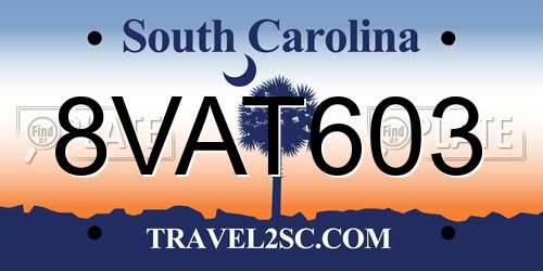 8VAT603 South Carolina License Plate