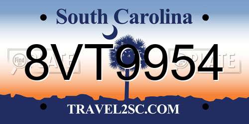 8VT9954 South Carolina License Plate