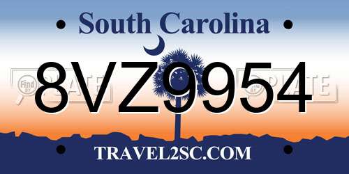 8VZ9954 South Carolina License Plate