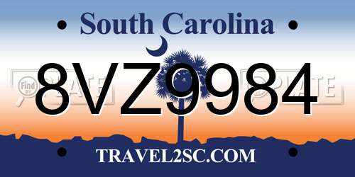 8VZ9984 South Carolina License Plate