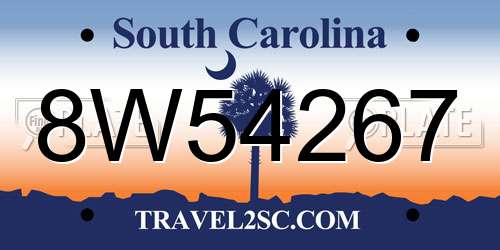 8W54267 South Carolina License Plate