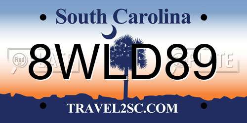 8WLD89 South Carolina License Plate