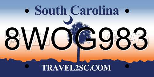 8WOG983 South Carolina License Plate