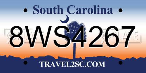 8WS4267 South Carolina License Plate